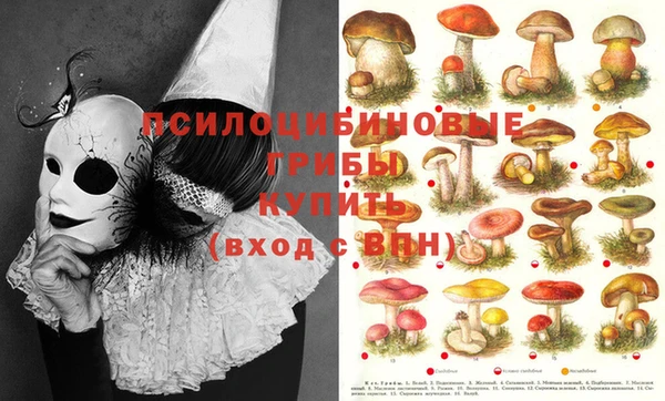 гидра Михайлов