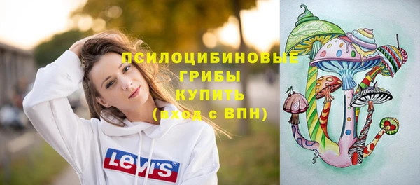 гидра Михайлов