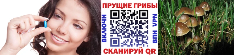 цены Новосиль Галлюциногенные грибы MAGIC MUSHROOMS